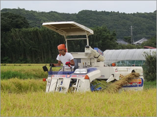 [Nz[̈_H26(P)